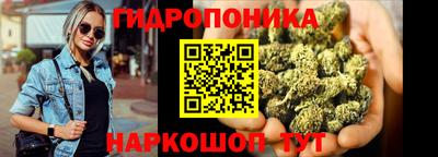 прущие крисы Славгород