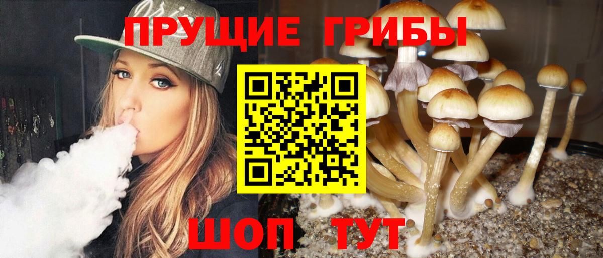 Галлюциногенные грибы Cubensis Отрадное