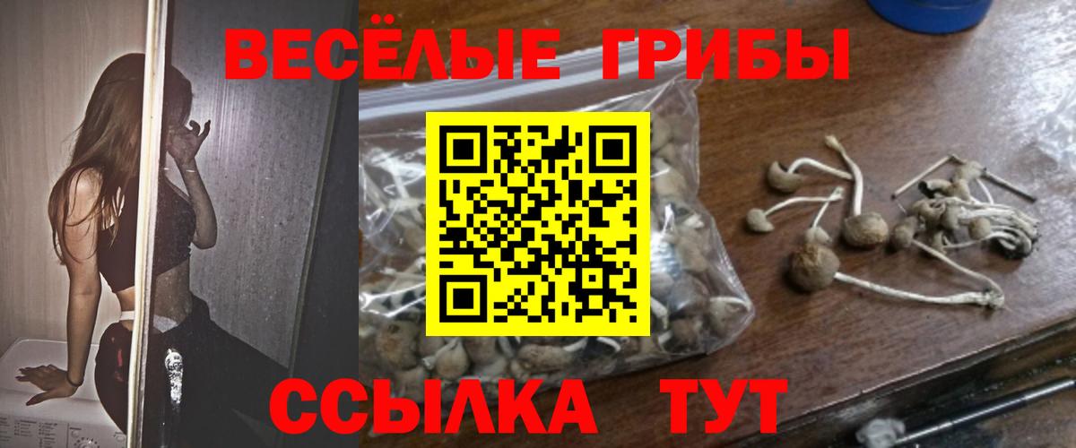 Галлюциногенные грибы GOLDEN TEACHER  Галлюциногенные грибы мухоморы  Вход с VPN  Отрадное 
