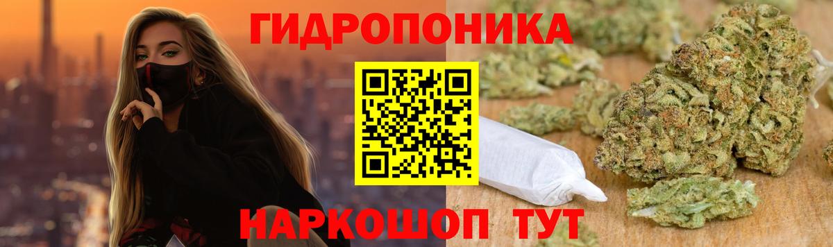 Канабис план Отрадное